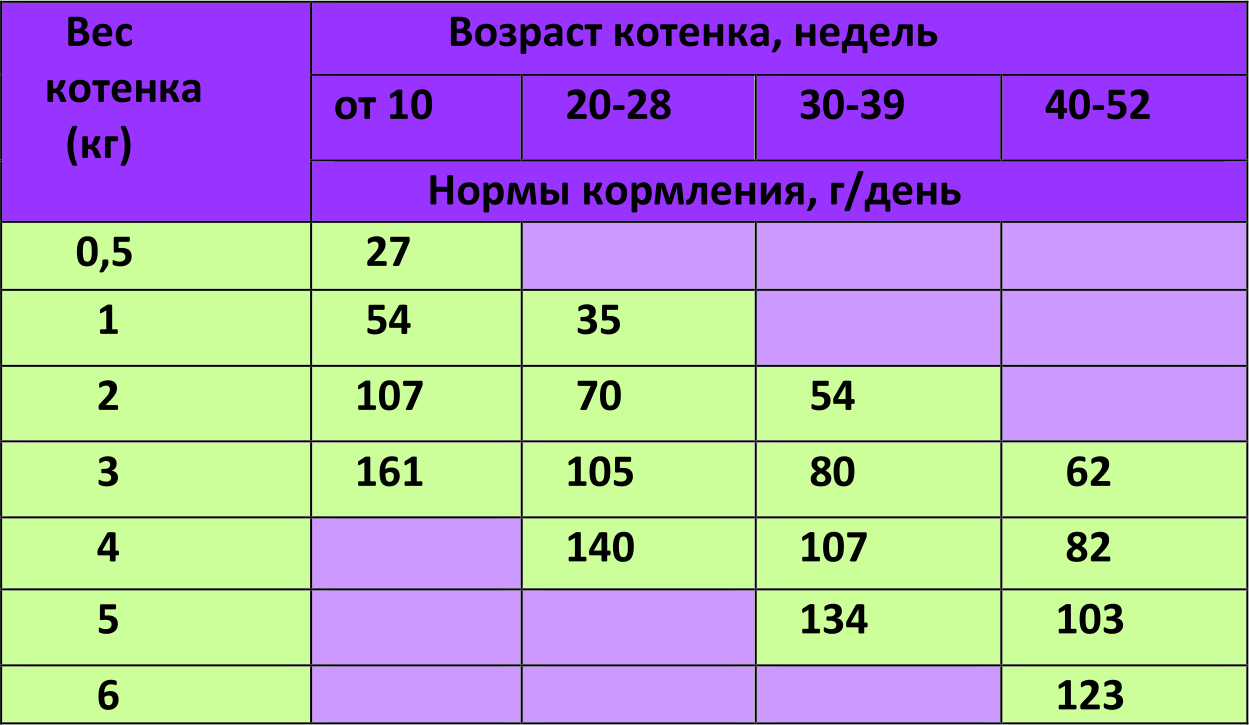 Сколько весит котенок в 4 месяца